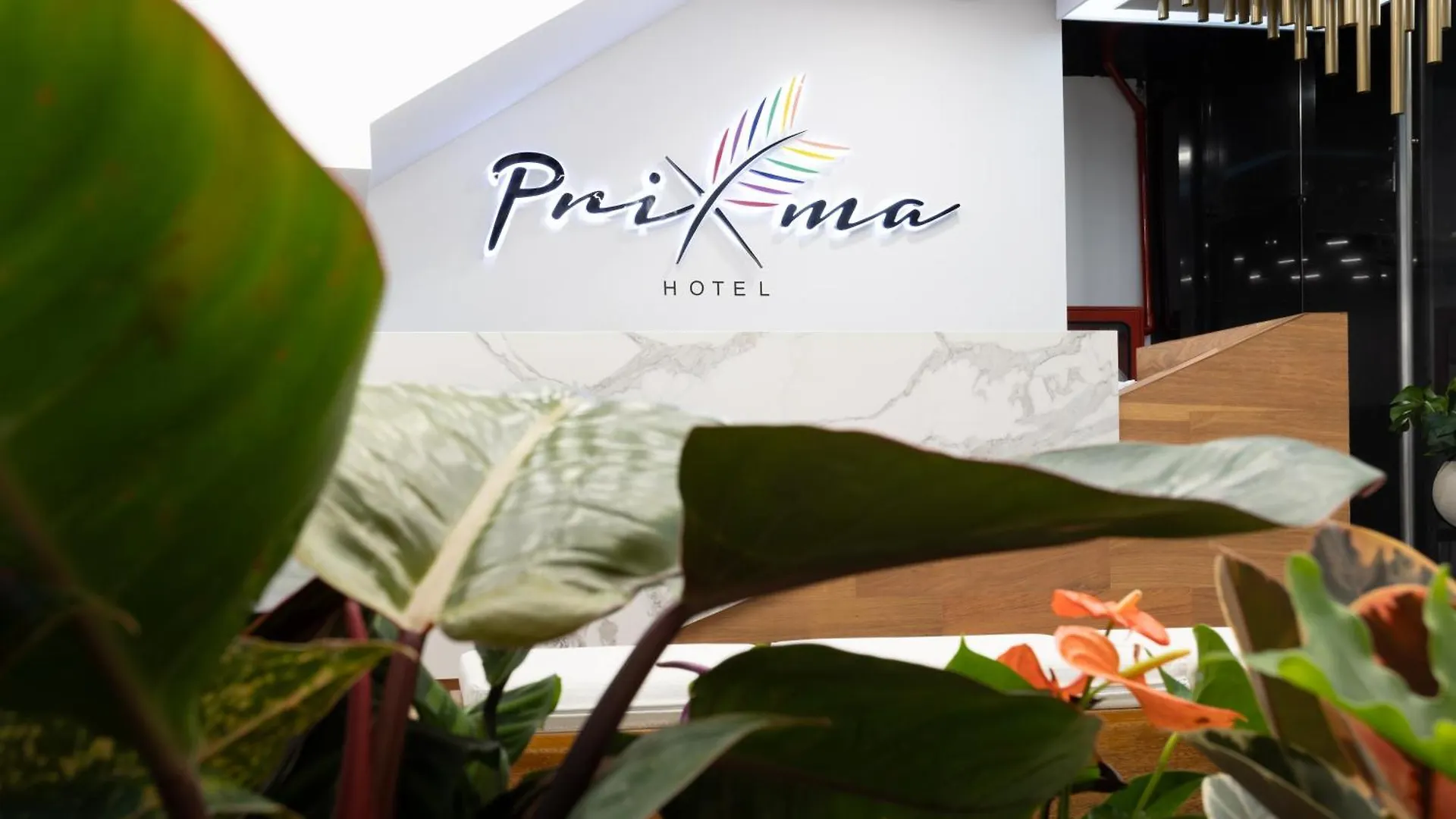 Prixma Hotel San Andrés