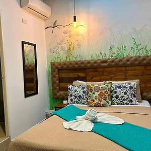 toc-toc-hostel.colombiamedellinhotels.com/